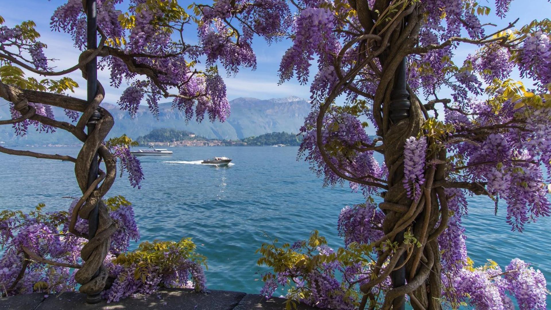 Villa Aurelia Плезио Экстерьер фото